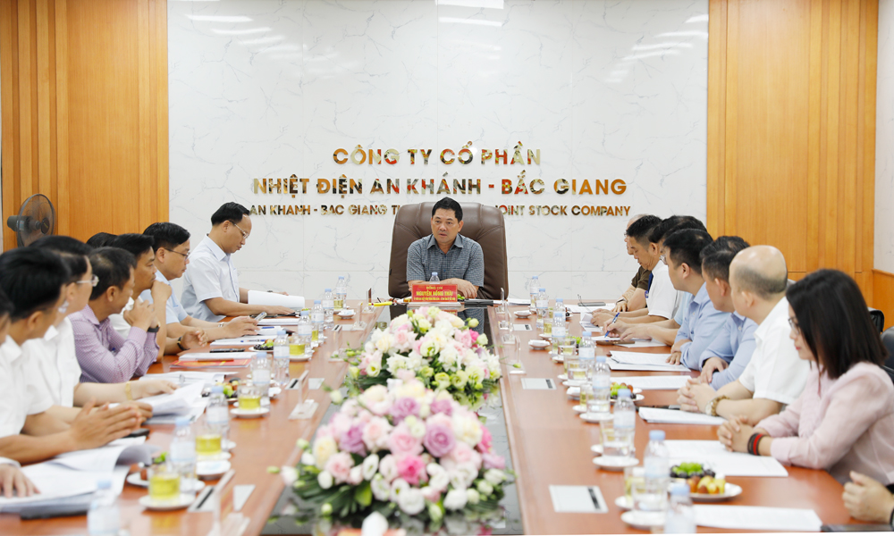 Provincial Party chief inspects key investment projects
