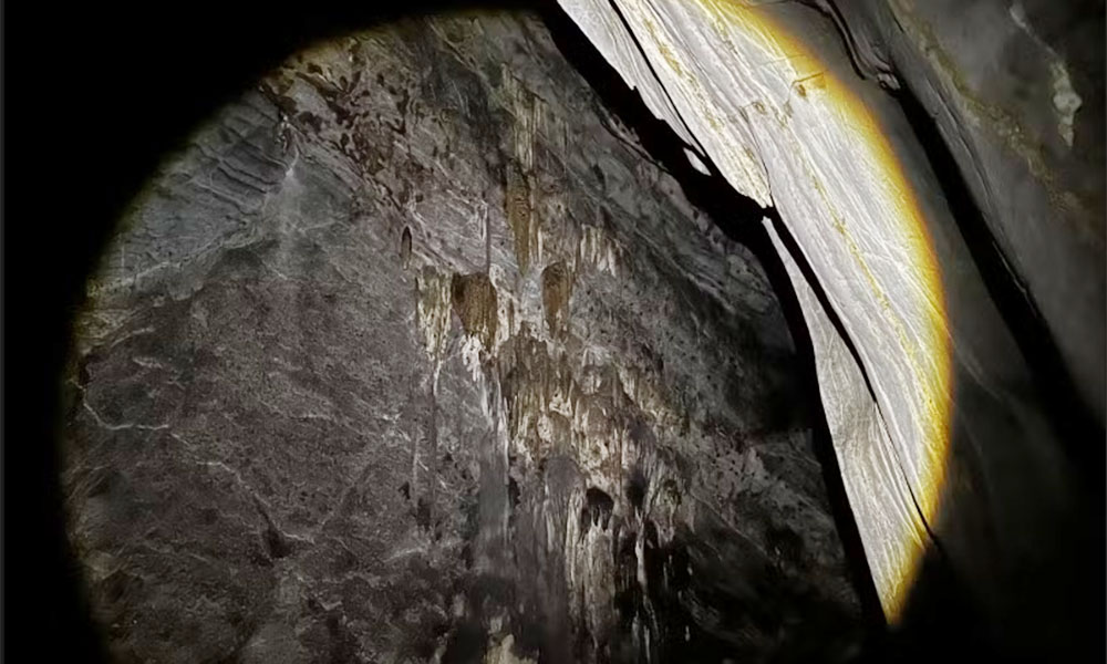 New cave discovered in Quang Tri's primary forest