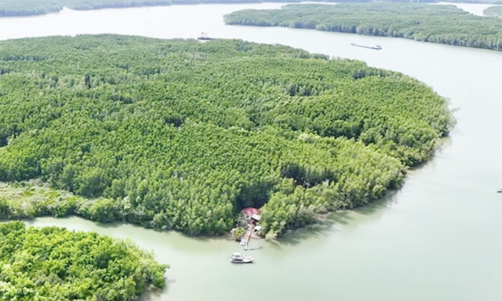 Vietnam launches pilot carbon market, opening new opportunities for green growth