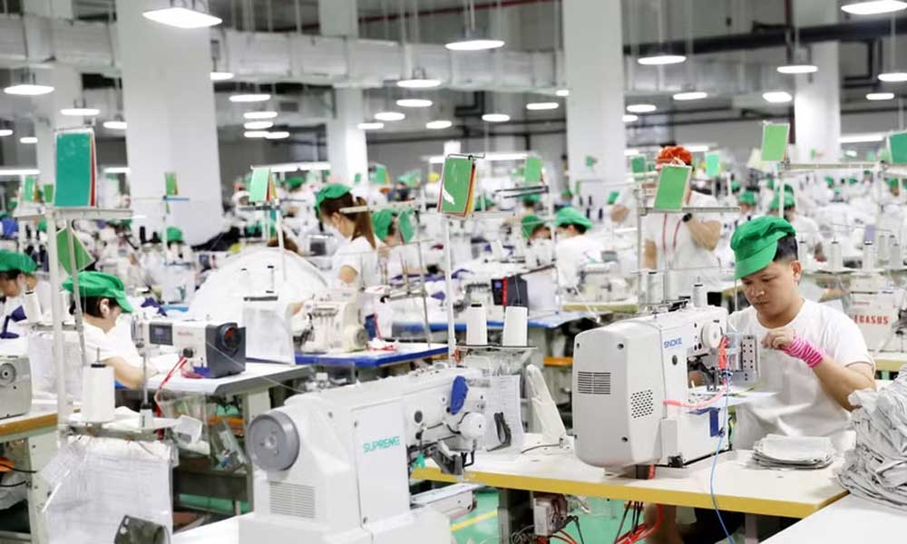 Newly-established businesses jump 22.5% in first six months