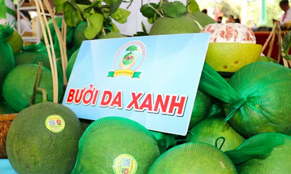 Agro-forestry-fishery exports poised for stronger growth