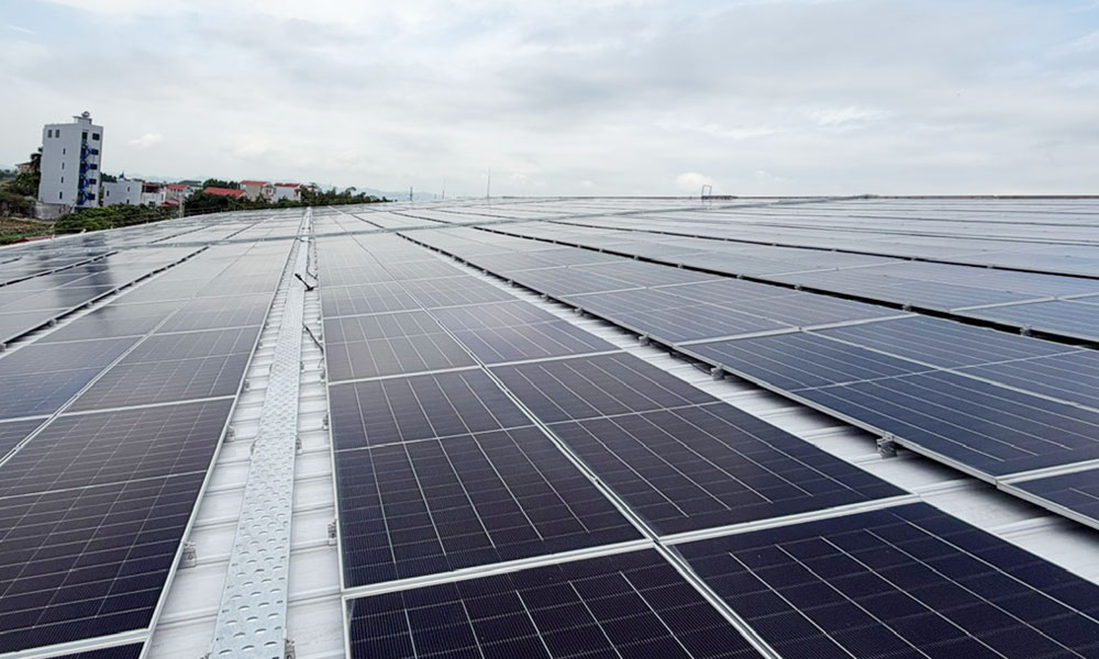 Carbon credit helps promote green production in Bac Ninh