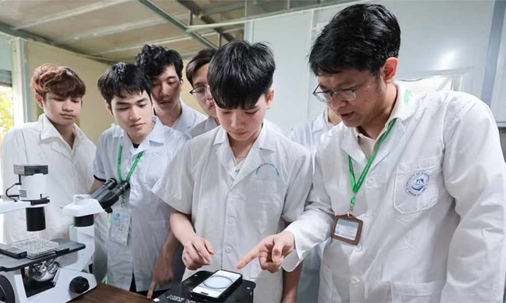 Talent strategy seen as key to Vietnam's next growth phase