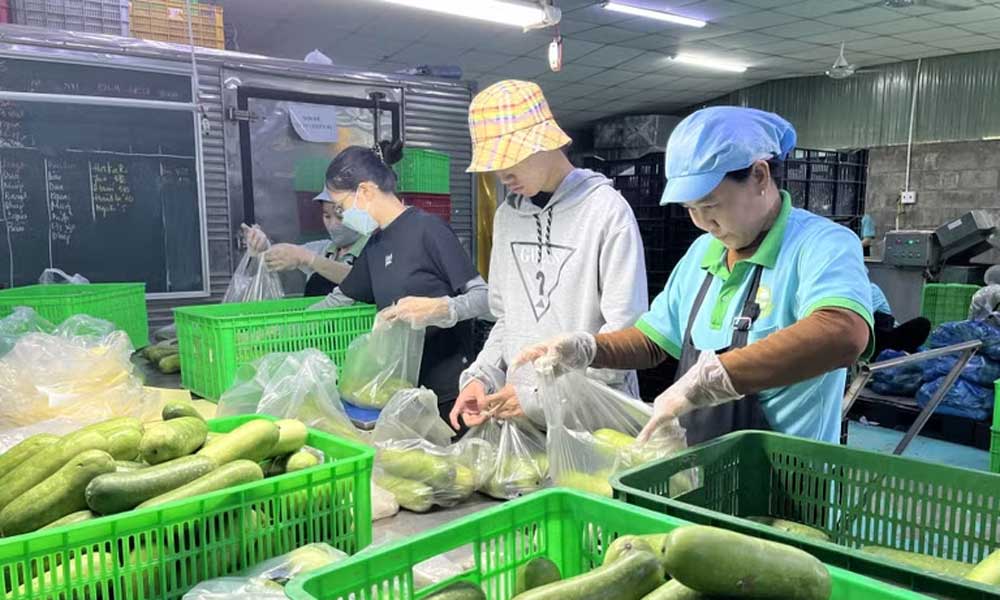 Vietnam records 16.65 billion USD trade deficit in first half