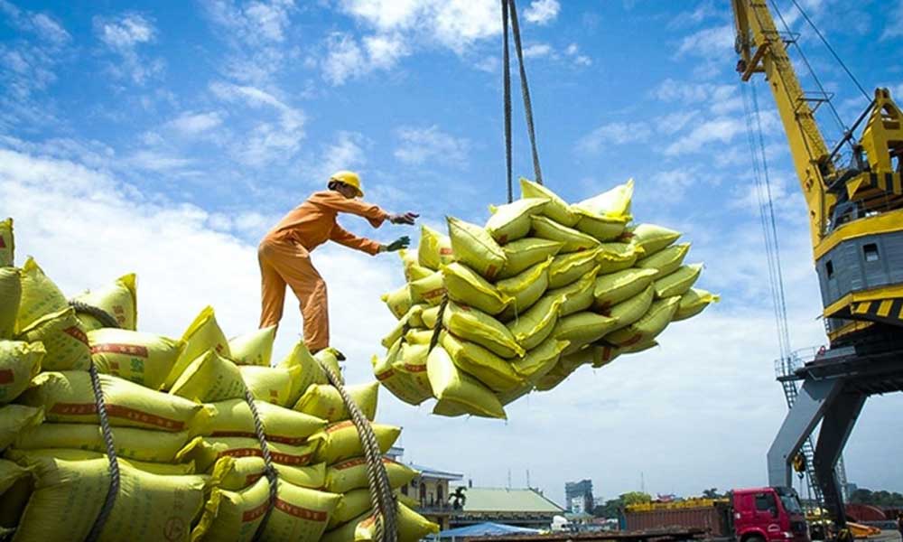 Vietnam exports 5.3 million tonnes of rice, earning 2.52 billion USD
