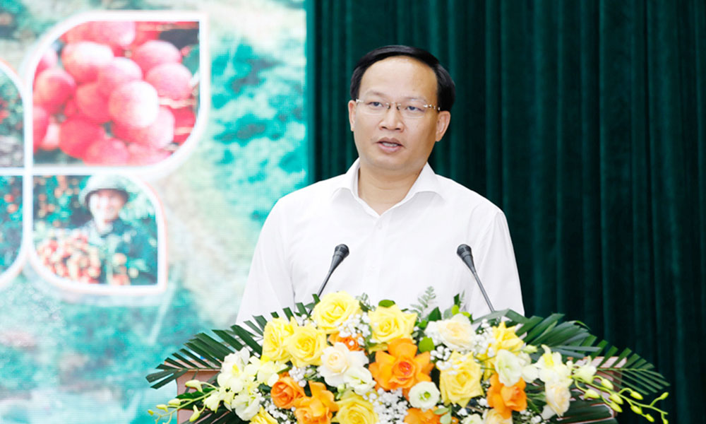 Bac Ninh modernises lychee production, expands market access