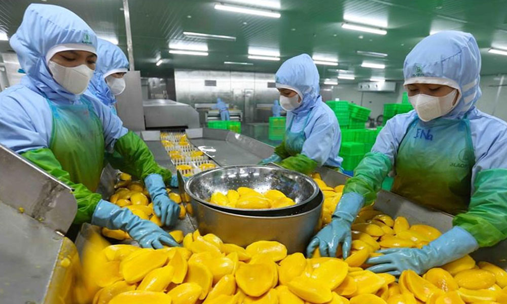 Trade drives growth momentum for Vietnam's economy in seven months