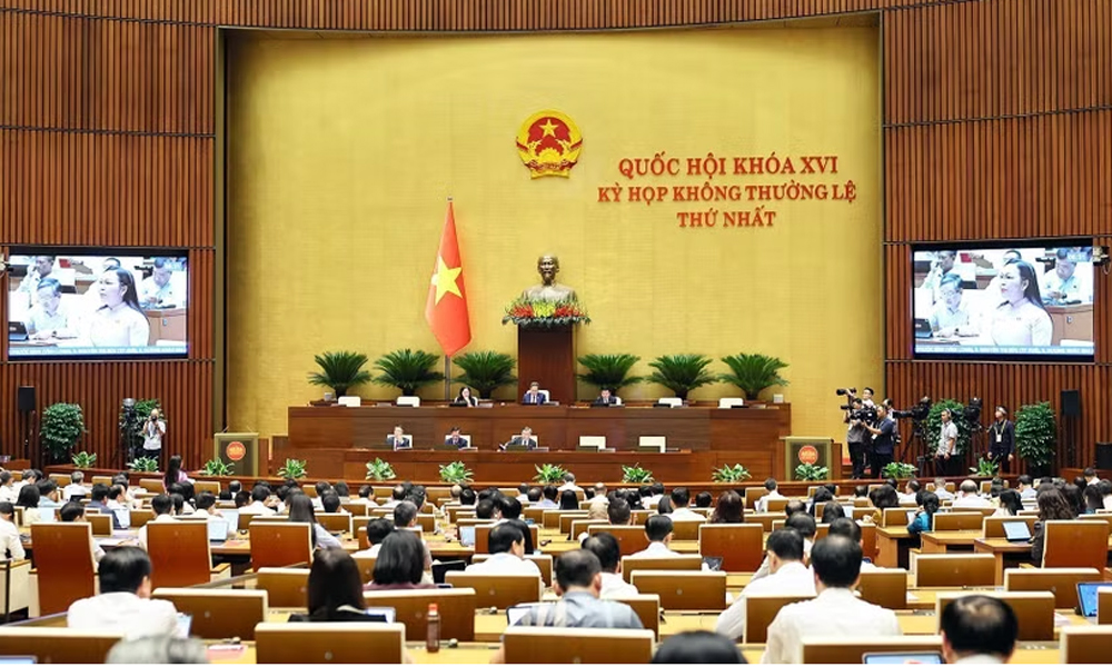 Lawmakers discuss establishing stable institutional framework for urban development
