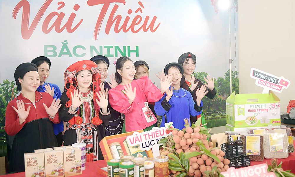 Bac Ninh targets more than 30% share for e-commerce retail sales
