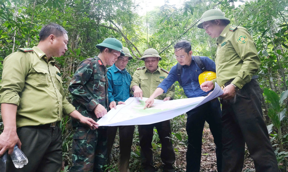 Keeping the forests of Tay Yen Tu green