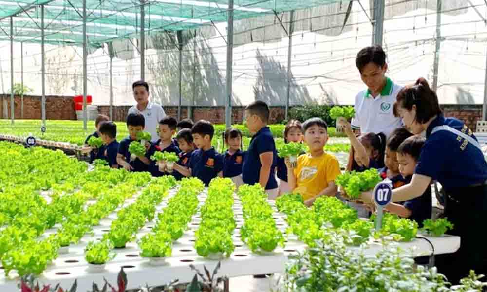 Agricultural sector targets full online public services by 2027