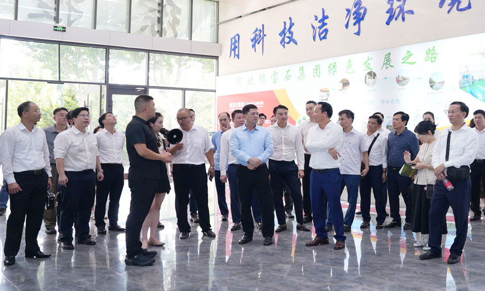 Bac Ninh delegation studies waste-to-energy model in China, explores investment cooperation