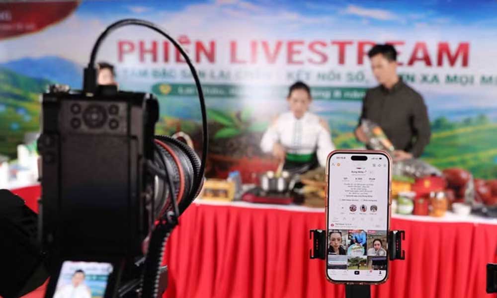 Vietnamese goods gain ground on e-commerce platforms during National Day holiday