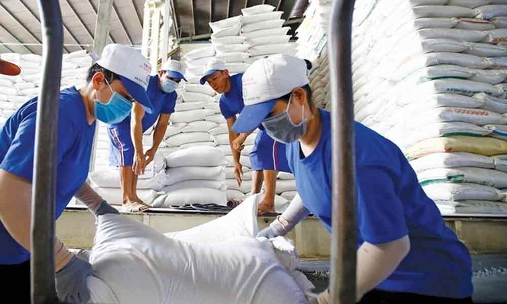 Vietnam’s rice exports reach 2.91 billion USD in eight months