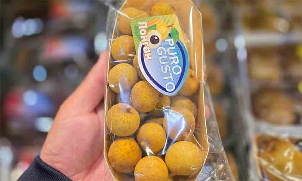 Vietnamese farm produce expands presence in Russian retail market