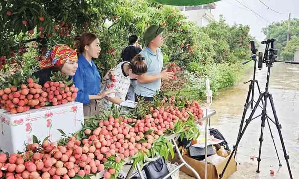 Farm produce goes online, opening wider market access