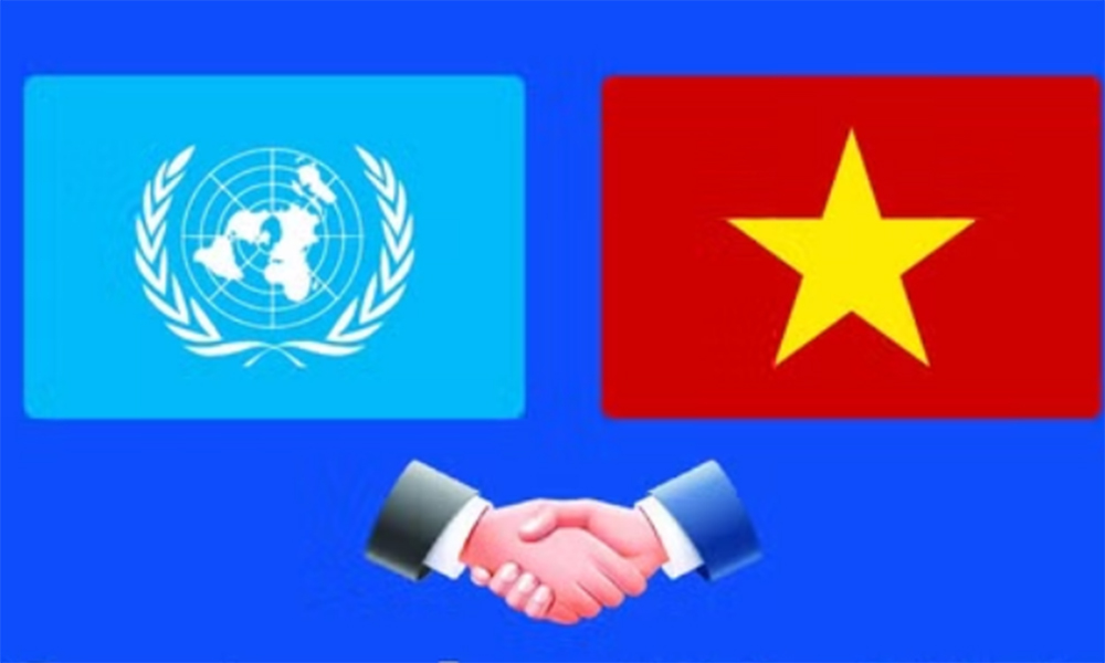 Vietnam makes active, proactive and responsible contributions to UN