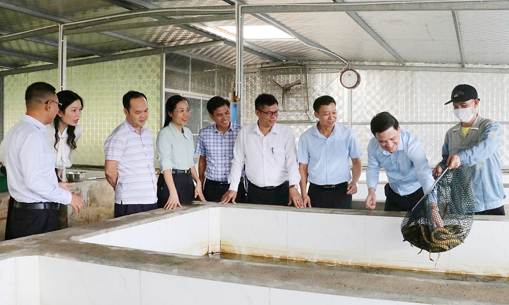 Bac Ninh expands links to boost agricultural product value