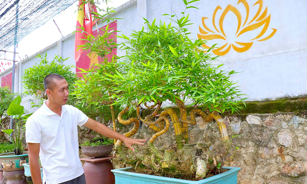 Every bamboo root tells a story of Vietnamese culture