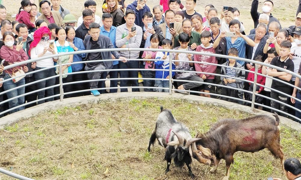 Yen The food festival showcases cultural diversity over seven days