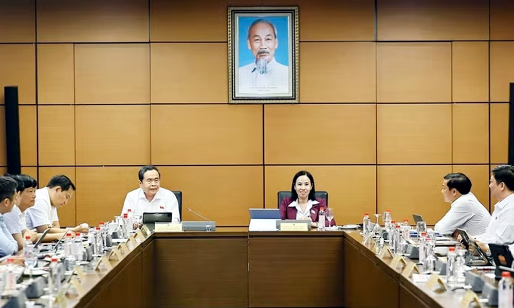 Lawmakers push to tie FDI incentives to technology transfer, output