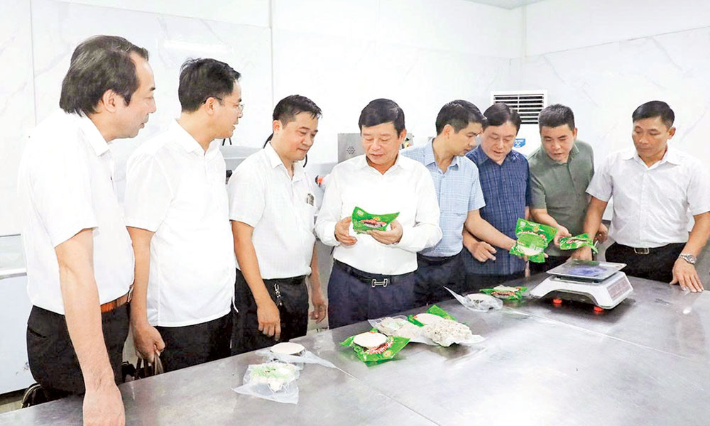 Bac Ninh’s collective economy faces new opportunities, great challenges
