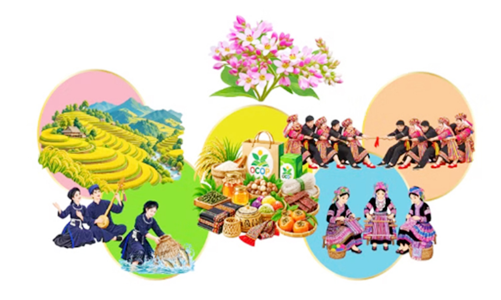 Northern Vietnam comes alive with Buckwheat Flower Festival