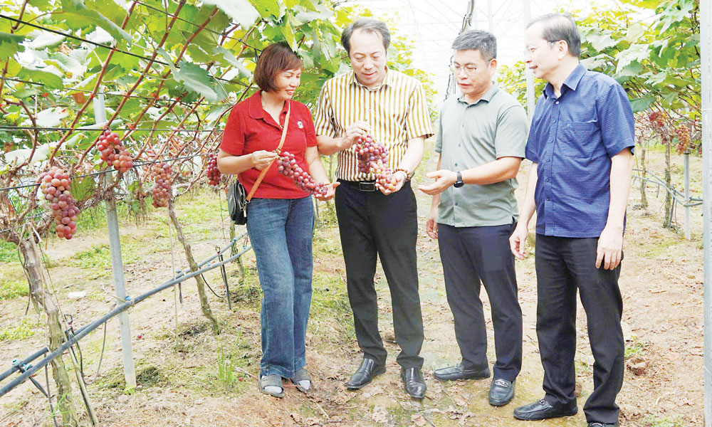 Bac Ninh women seek new markets for local products