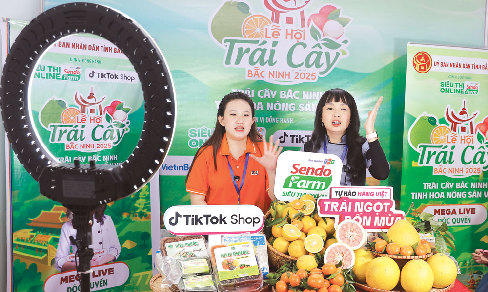 Bac Ninh expands online sales channels to boost fruit sales