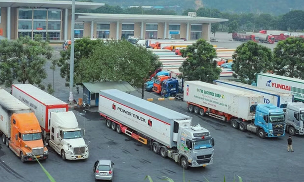 Cross-border e-commerce opens new export path for Vietnam