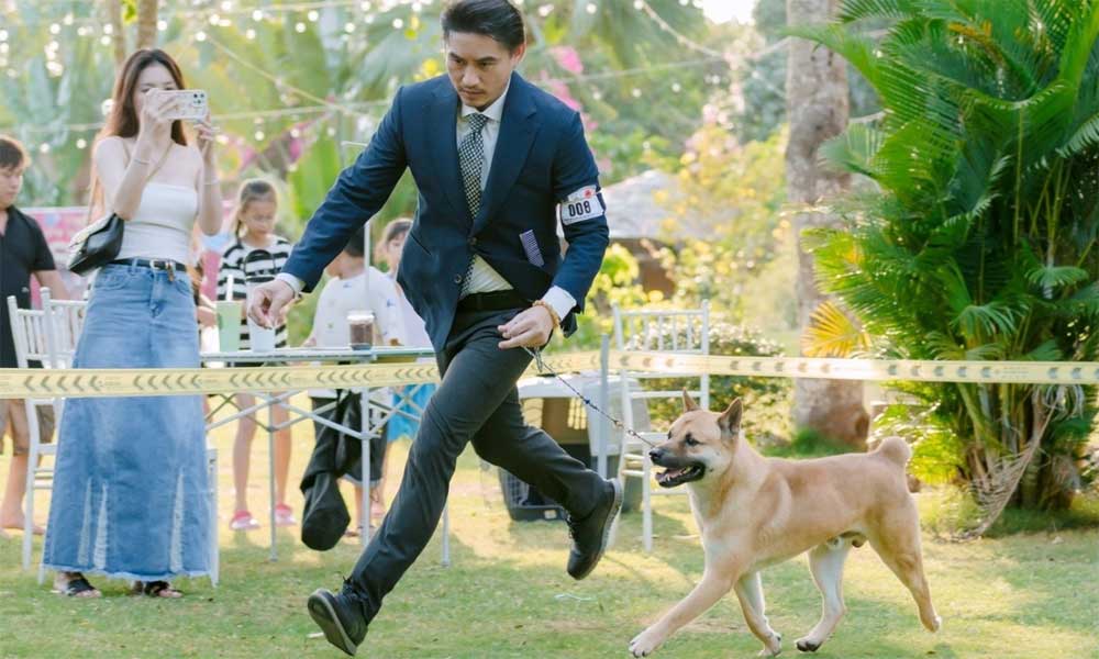 Vietnam's most beautiful native dog to compete in US