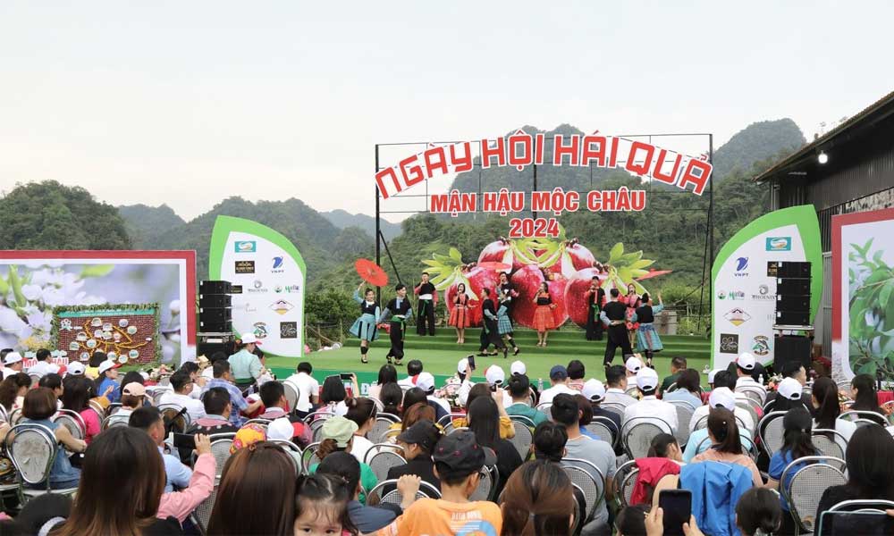 Sôi động ngày hội hái quả trên cao nguyên
