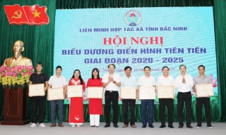 Liên minh Hợp tác xã tỉnh Bắc Ninh: Biểu dương 20 điển hình tiên tiến giai đoạn 2020- 2025