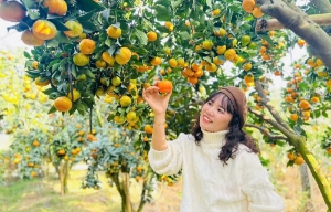 Thúc đẩy liên kết du lịch - thương mại giữa Bắc Ninh và Nam Ninh