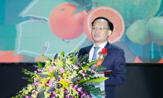 Lễ hội trái cây Bắc Ninh 2025 được tổ chức với quy mô lớn, không gian mở - hiện đại - trải nghiệm trực quan sinh động