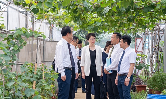Trường Đại học Nông - Lâm Bắc Giang thúc đẩy hợp tác đào tạo, nghiên cứu với thành phố Trấn Giang (Trung Quốc)