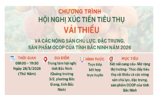 Bắc Ninh xúc tiến tiêu thụ vải thiều và nông sản 2026 