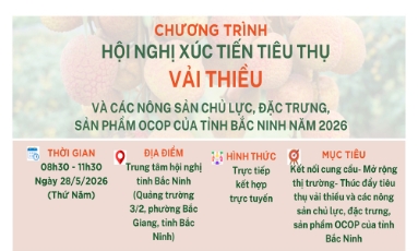  Bắc Ninh xúc tiến tiêu thụ vải thiều và nông sản 2026 