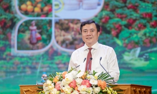 Bộ Công Thương đánh giá cao công tác xúc tiến tiêu thụ vải thiều Bắc Ninh
