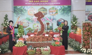 Đa dạng sản phẩm trưng bày tại hội nghị xúc tiến tiêu thụ vải thiều và nông sản chủ lực tỉnh Bắc Ninh
