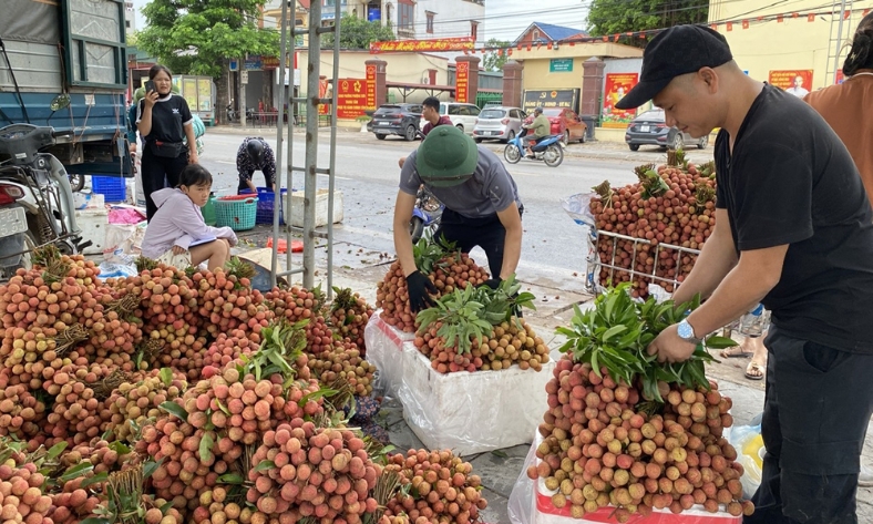  Giá bán vải thiều cao, Bắc Ninh thu gần 6.000 tỷ đồng