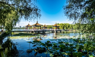 Từ Bắc Ninh đến Nam Ninh: Hành trình khám phá “thành phố xanh” của Trung Quốc