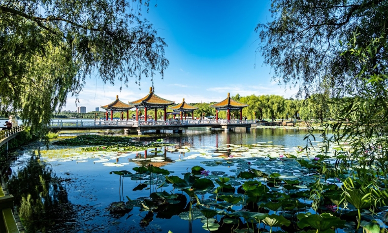  Từ Bắc Ninh đến Nam Ninh: Hành trình khám phá “thành phố xanh” của Trung Quốc