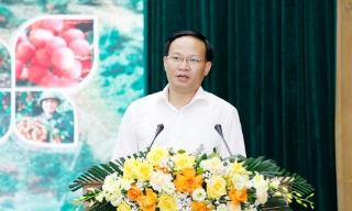 Bắc Ninh: Thúc đẩy chuyển đổi sản xuất, tiêu thụ vải thiều từ phát triển theo sản lượng sang chất lượng và giá trị