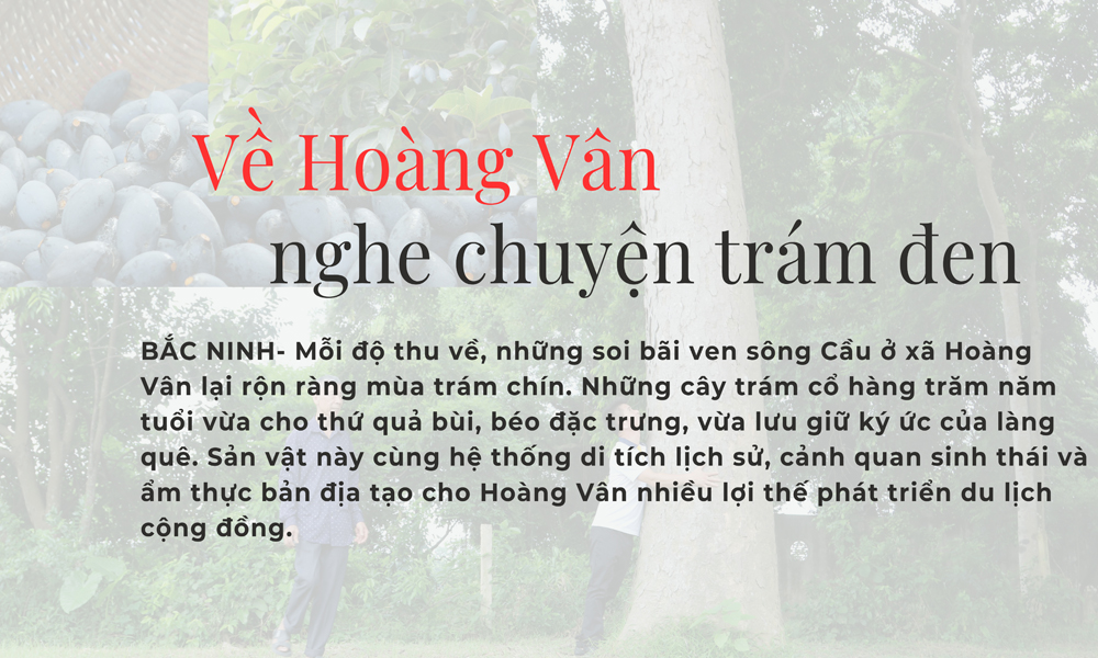 Về Hoàng Vân nghe chuyện trám đen 