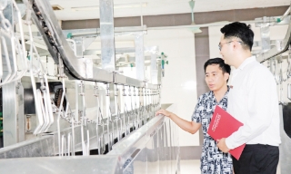 Sử dụng hiệu quả vốn vay, đa dạng hóa sản phẩm