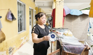 Bắc Ninh: Giúp người dân vùng bị ảnh hưởng bởi thiên tai ổn định đời sống