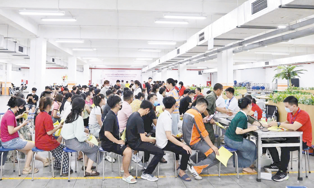  Dòng máu sẻ chia, nối dài sự sống