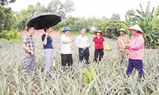 Lợi ích từ cung ứng phân bón trả chậm
