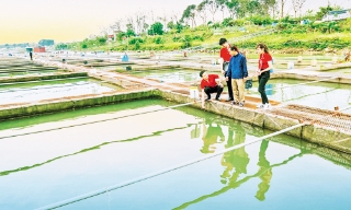 Bắc Ninh: Tiếp vốn cho khu vực kinh tế tư nhân